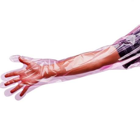 Plastik Glove Ib 5 Jari Sarung Tangan Ib Plastik Inseminasi Buatan