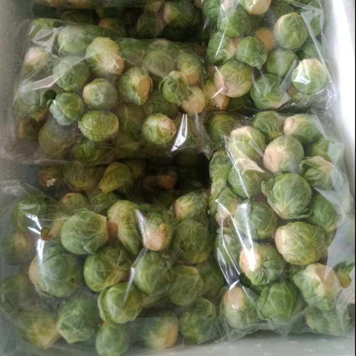 

BRUSSEL SPROUT / KOL MINI IMPORT