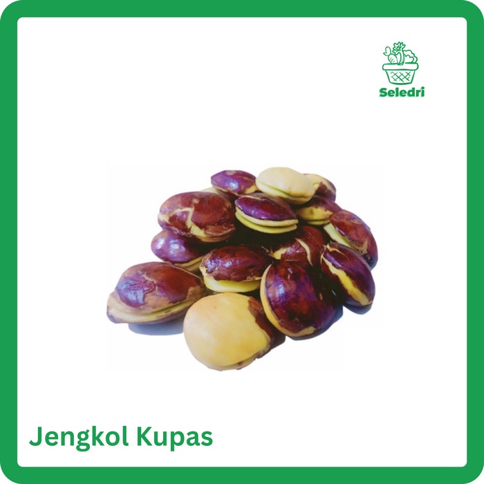 

Jengkol Kupas