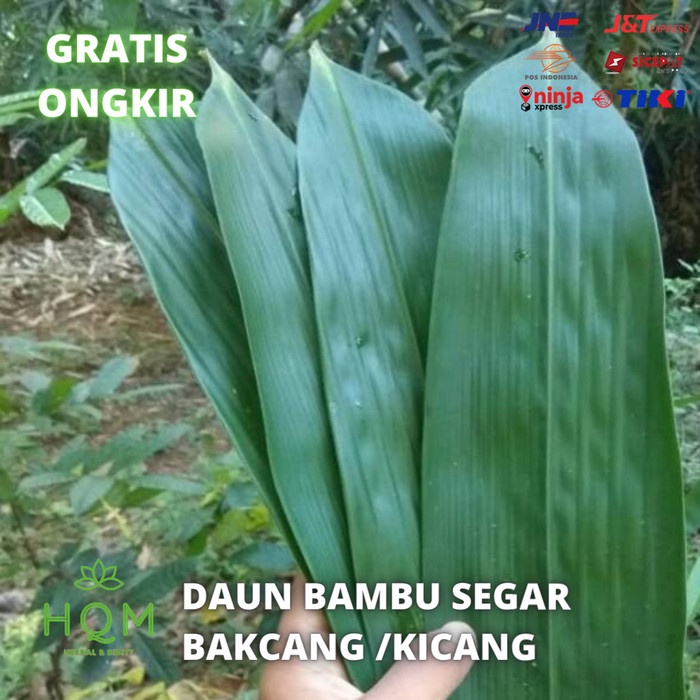 

Daun Bambu 1kg Ukuran Besar Untuk Bungkus Bakcang terbaru