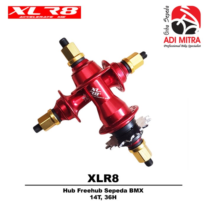 Hub Freehub XLR8 BMX 14T 36 Hole Single Speed - Hub Freehub Sepeda BMX