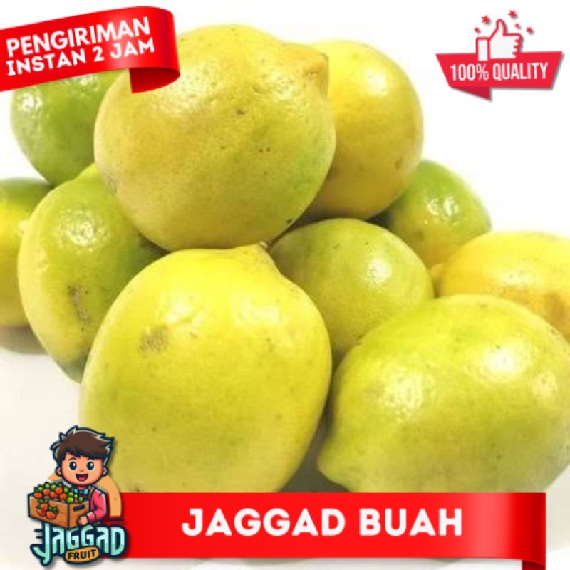 

Buah Lemon Lokal 1 kilo (buah segar) - BEST Fresh Food JAGGAD FRUIT