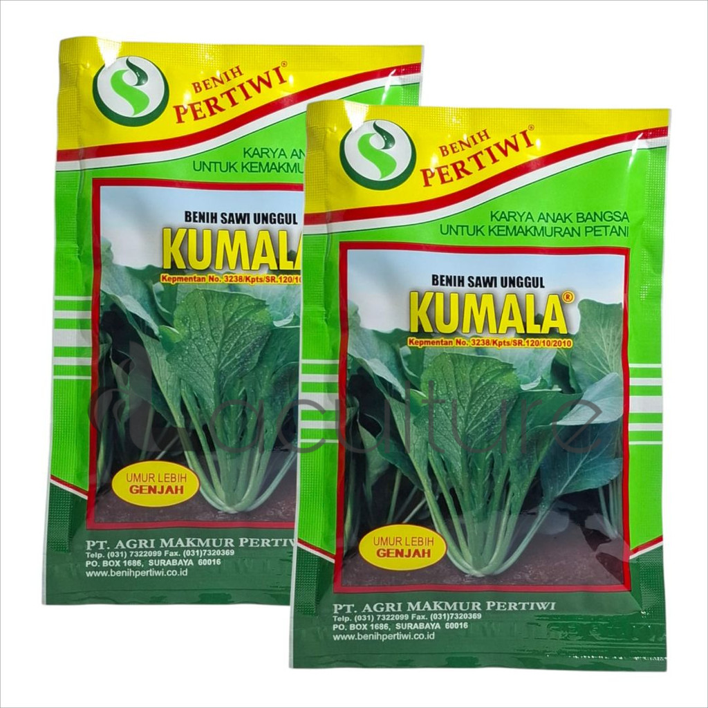 Benih Sawi Caisim Unggul Kumala Isi 100 Gram Cap Benih Pertiwi