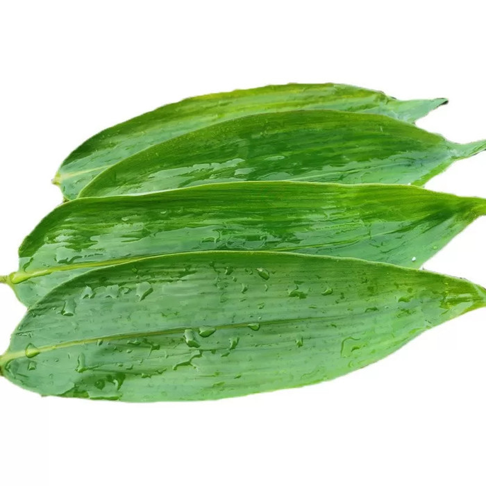 

DAUN BAMBU SEGAR PILIHAN BUNGKUS BACANG DAN HERBAL