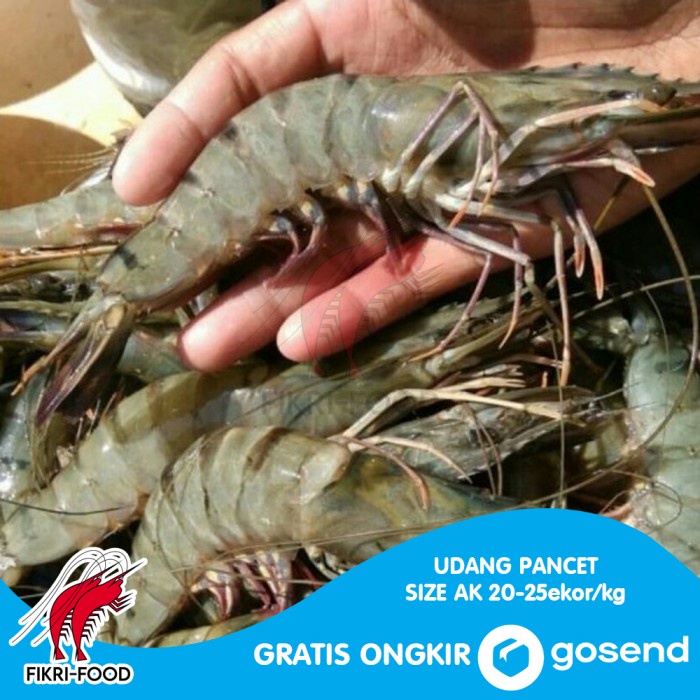 

Udang Pancet / Windu / Tiger AK 20-25 Segar