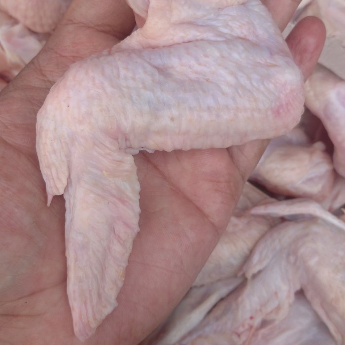 

Sayap Ayam Chicken Wing Broiler