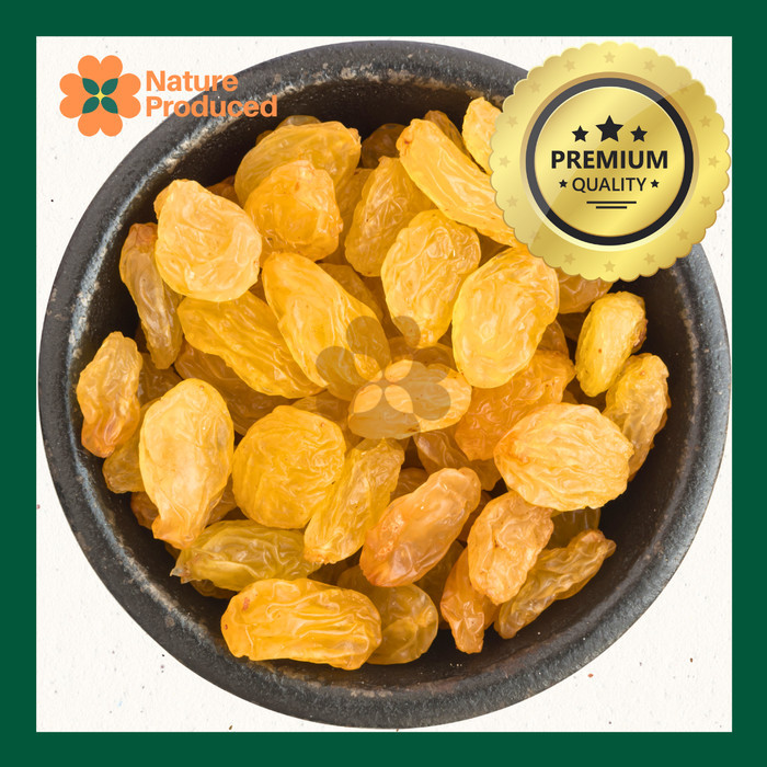 

Nature Produced Golden Raisin Jumbo Kismis Kuning 100g 250gr 500gr