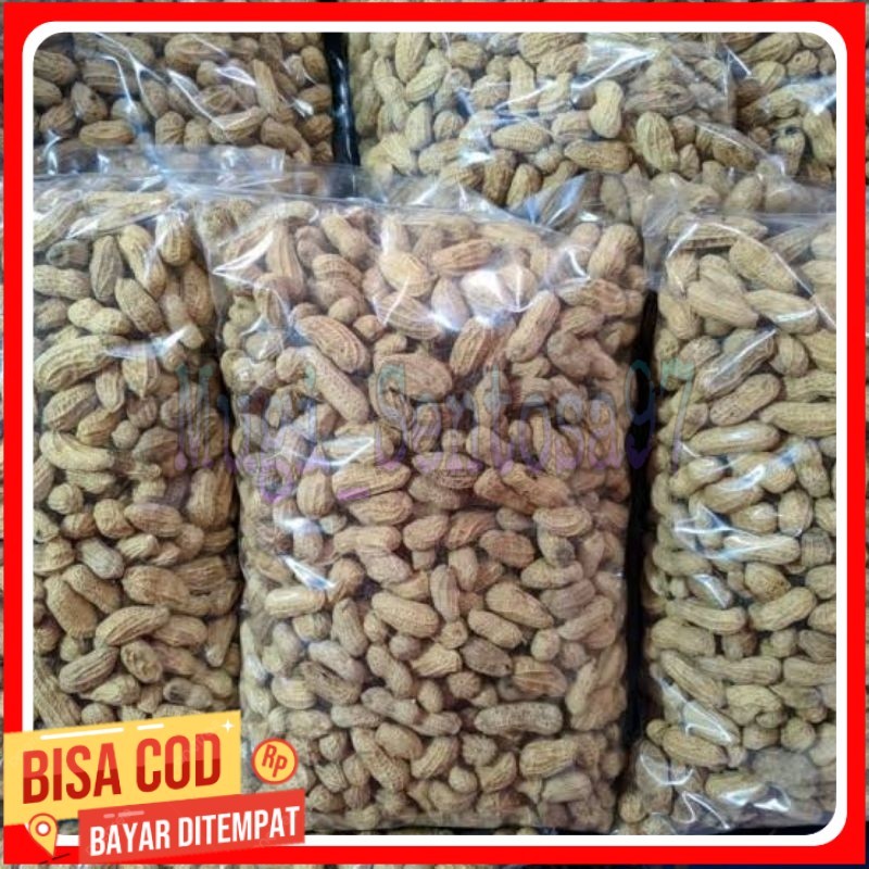 

1Kg Kacang Kulit Sangrai Madura Camilan Kacang sangrai Camilan Kacang Oven Kacang Di Sangrai