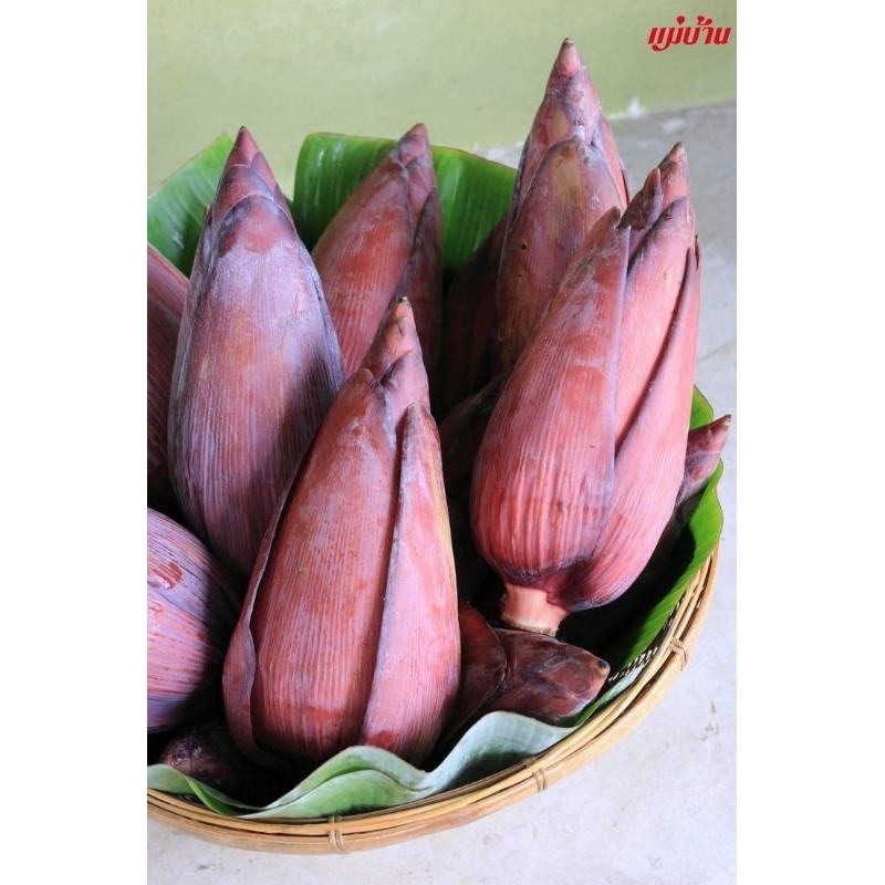 

jantung pisang