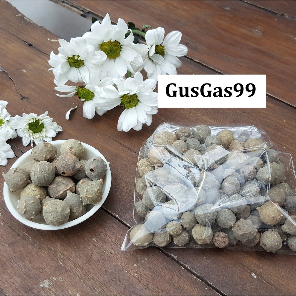 

50gr (10-20 butir) Manjakani Majakani Majaan Oak Galls SUPERK ayu Rapet Kesat Perawatan Miss V Perawatan V
