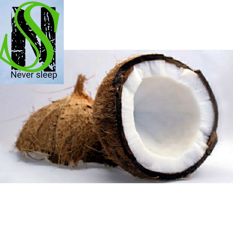 

KELAPA TUA KELAPA PARUT UTUH PERBUTIR Promo Terbatas