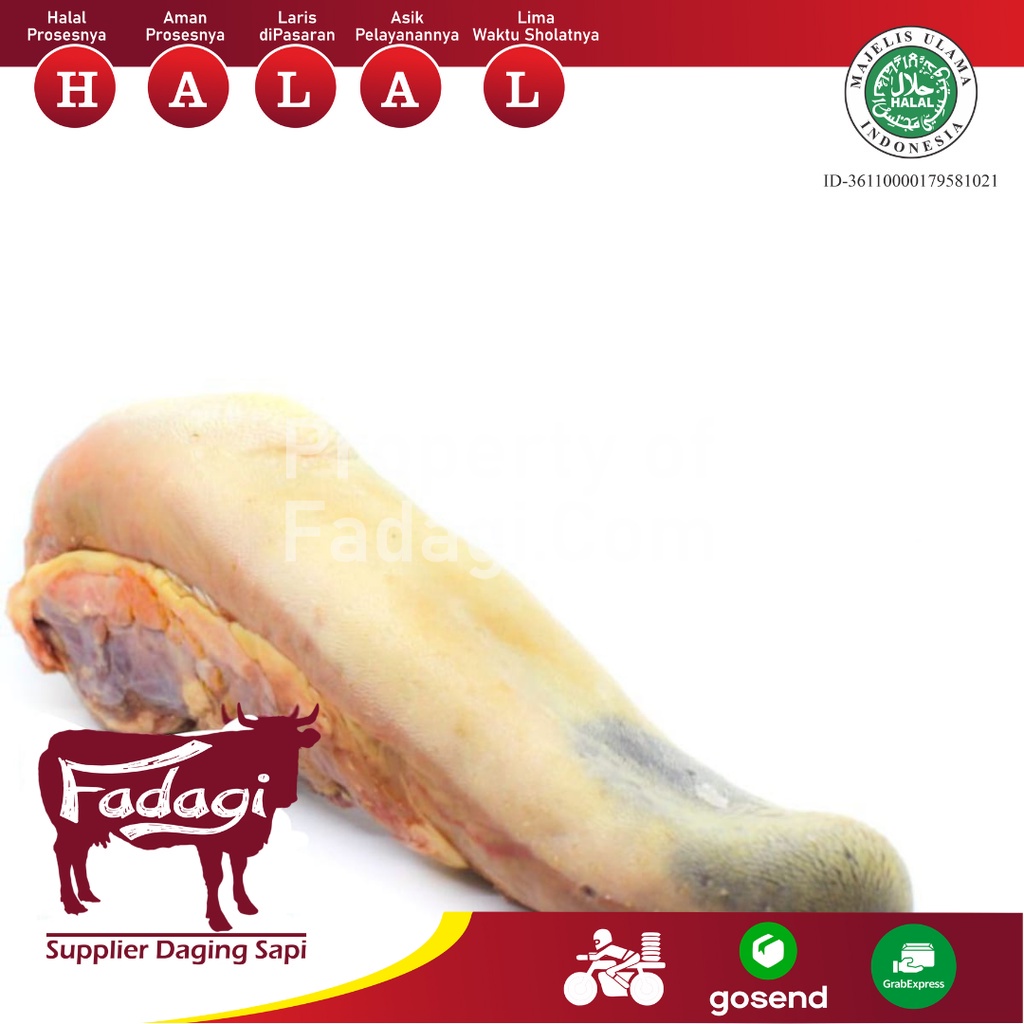 

Fadagi Lidah Sapi (1000 gr)