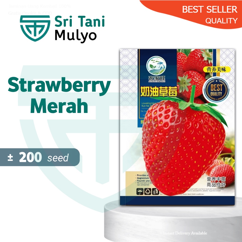 STM Benih Strawberry JUMBO Rasa Manis Bibit Buah Benih Buah [B]