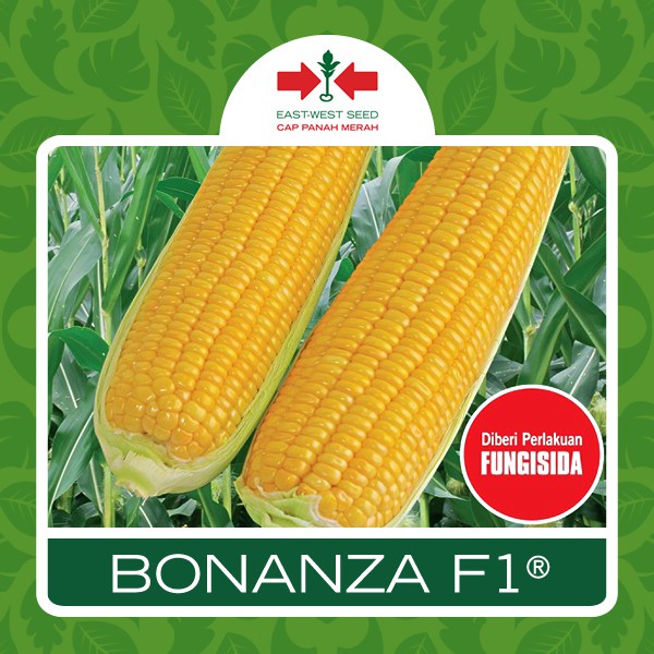 10 Biji Benih JAGUNG MANIS BONANZA F1