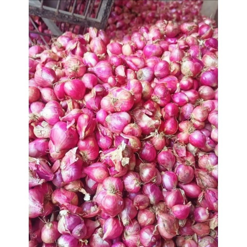 

SALE - TERBARU 1kg bawang merah super bwang merah bawang merah bawang merah 500 gram bawang merah probolinggo siap kirim