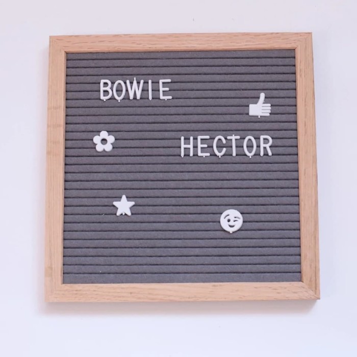 

Changable Felt Letter Board 10’ / DIY Felt Letter Board - Abu-abu