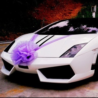 

PROMO - PITA KADO - 1 Set 8pcs +1 Pita Hiasan Dekorasi Mobil Pengantin Tile Satin Murah - Putih