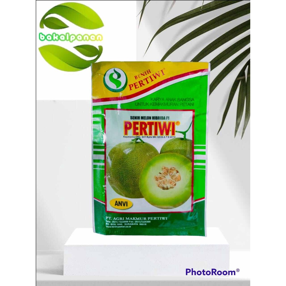 Pertiwi anvi benih bibit melon hibrida 13 gram