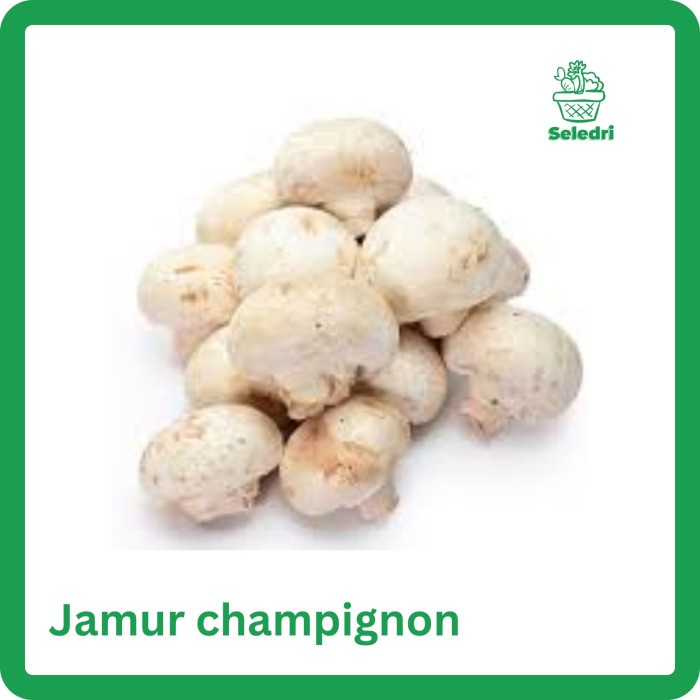 

Jamur Champignon Fresh Jamur Kancing