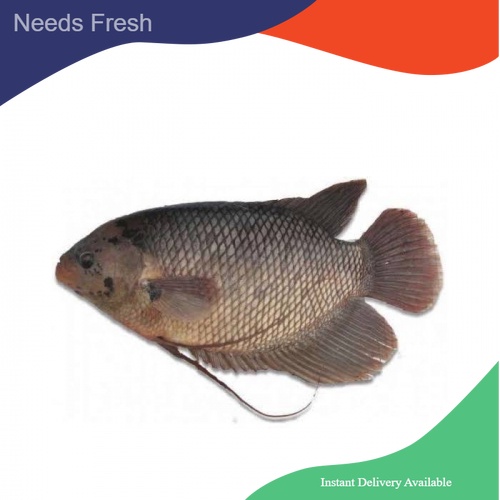 

ikan gurame fresh 500gr