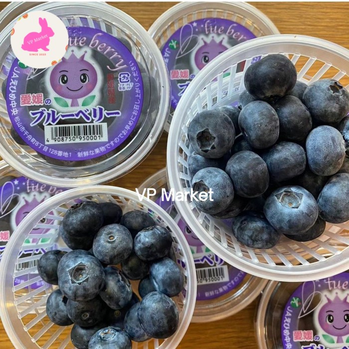 

Blueberry Ehime Japan Blueberries Jepang Original | Cup