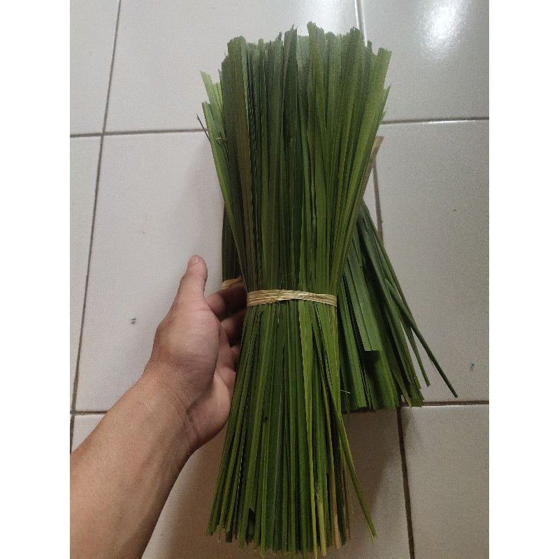 

Daun alang alang atau ilalang segar 1kg