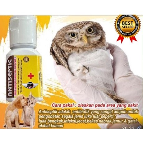 Obat luka luar Antiseptic Hewan/Obat Luka Hewan