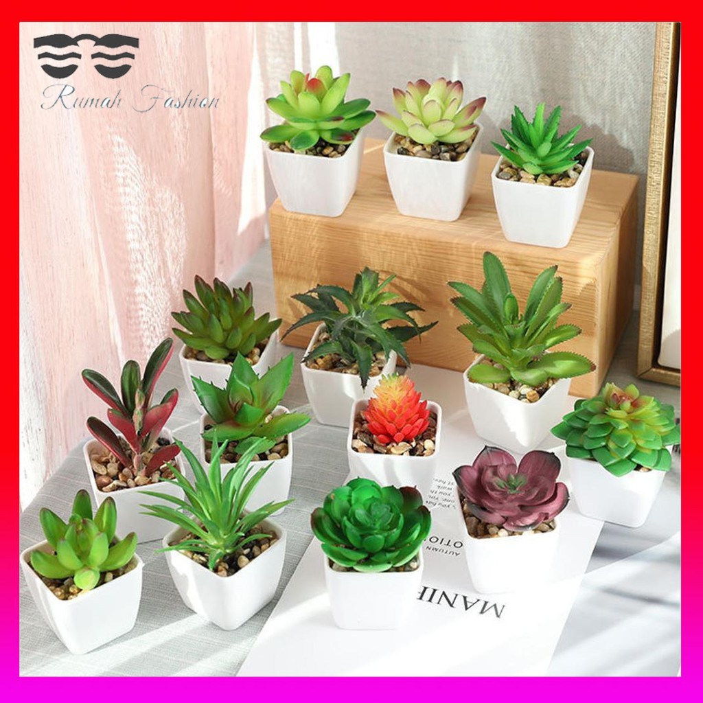 KAKTUS SUKULEN Tanaman Artificial Imitasi Buatan