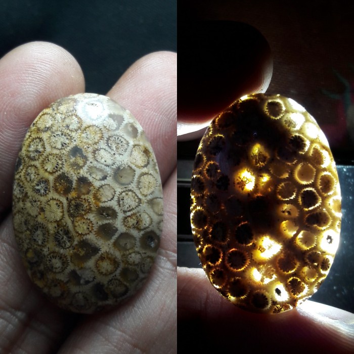 Natural Batu Akik Motif Gambar Bunga Teratai Unik Antik 12