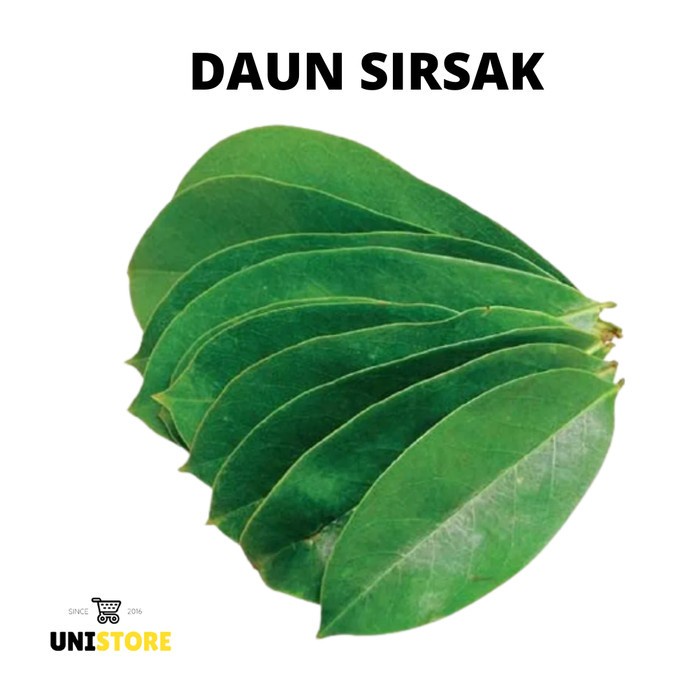 

Daun Sirsak Segar 100 Gram