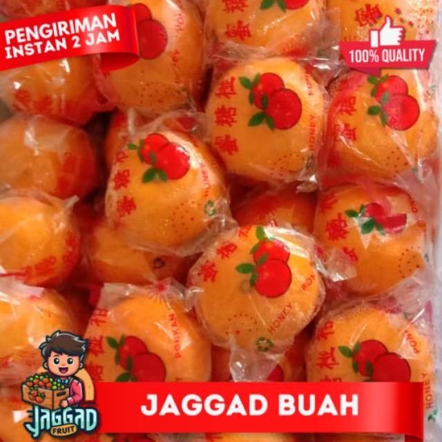 

BUAH JERUK PONKAM FRESH JAGGAD FRUIT