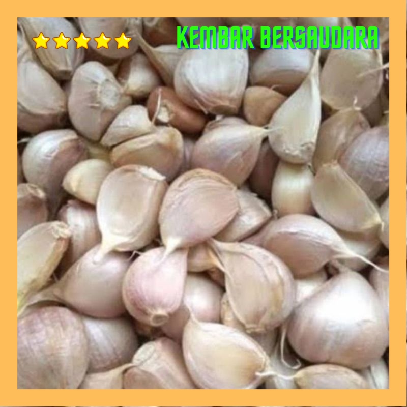 

bawang putih kating 500 gram