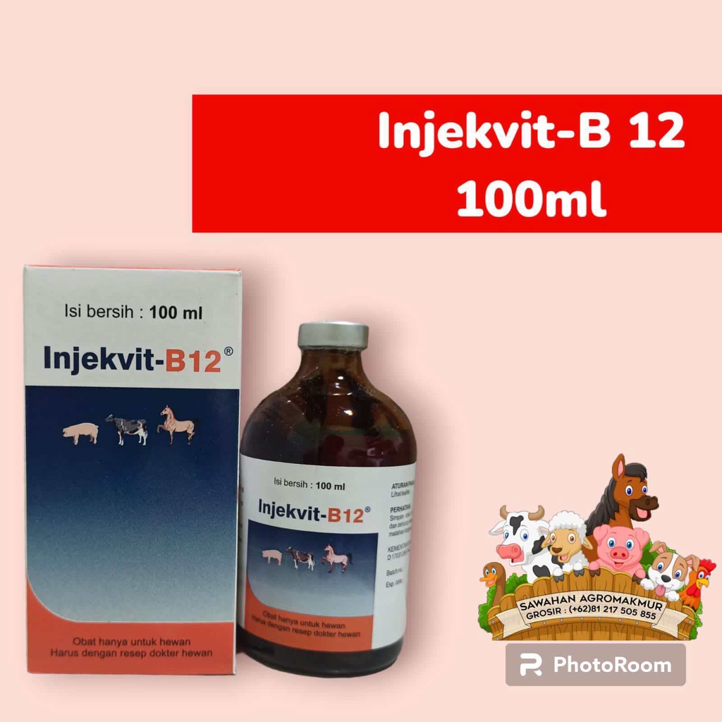 injekvit b12 vitamin b 12 obat tambah darah pucat hewan kelinci kucing sapi kambing babi domba kuda