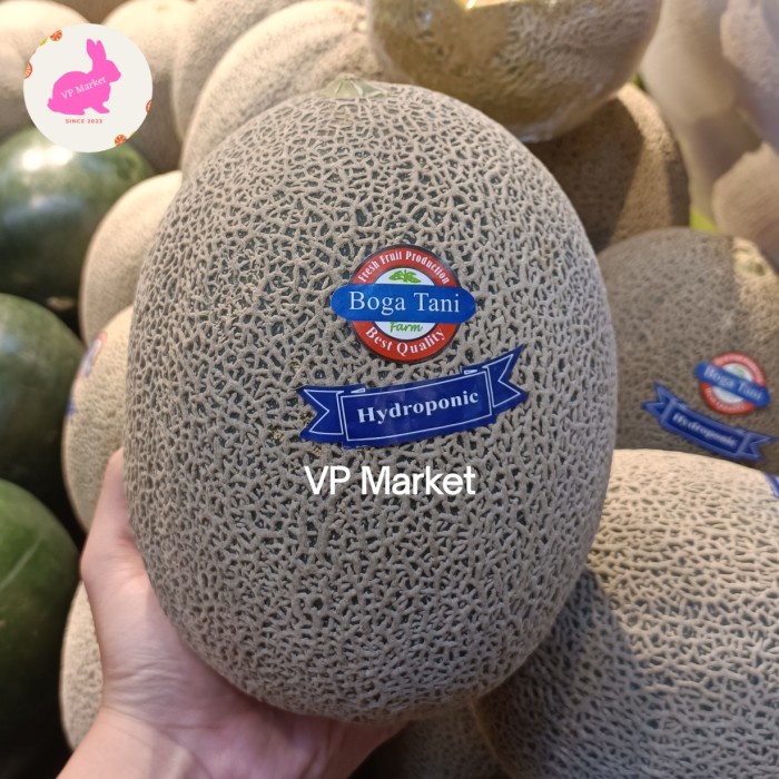 

Melon Boga Tani Hydroponic Red Super Manis | Pcs