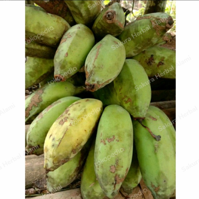 

pisang kepok tua dan matang 1kg bahan sale