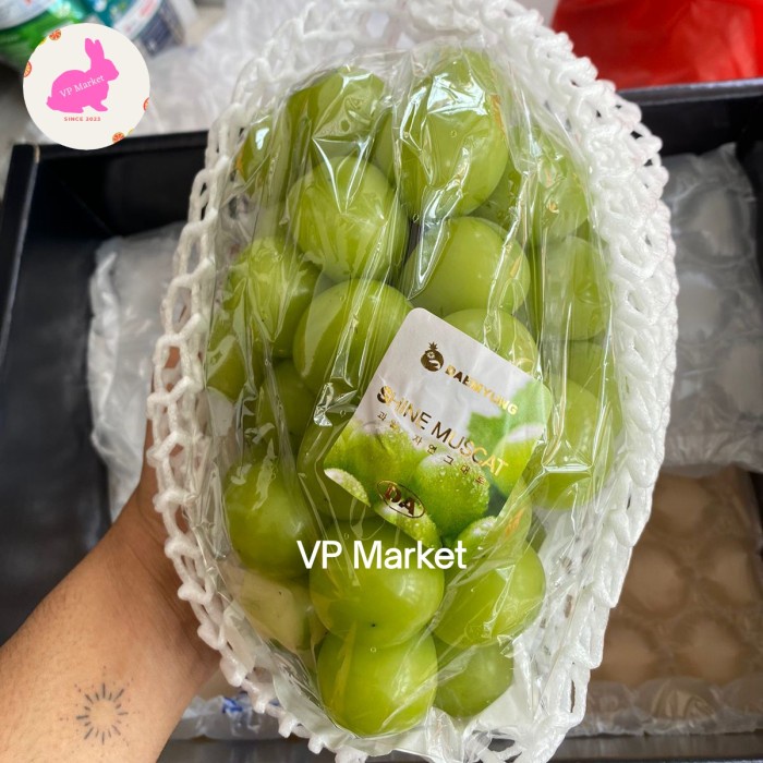 

Anggur Shine Muscat Korea Fresh | Buah Anggur Korea Manis | Pack