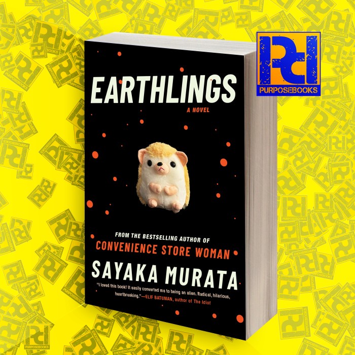 Earthlings Sayaka Murata