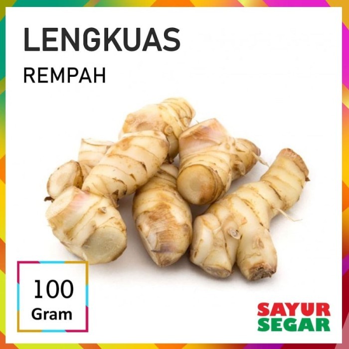 

TEMU LAWAK [100g] - Lengkuas