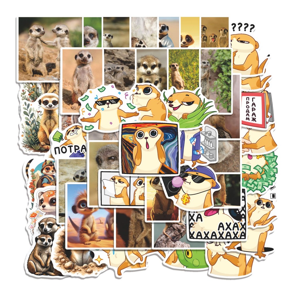 

COD 50 Pcs Stiker Surik Lucu Anti Air Untuk Dekorasi Notebook Sepeda Skateboard Handphone