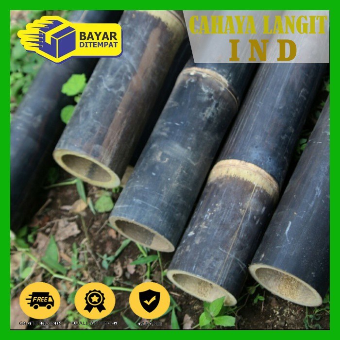Bambu Hitam / Bambu Wulung Super