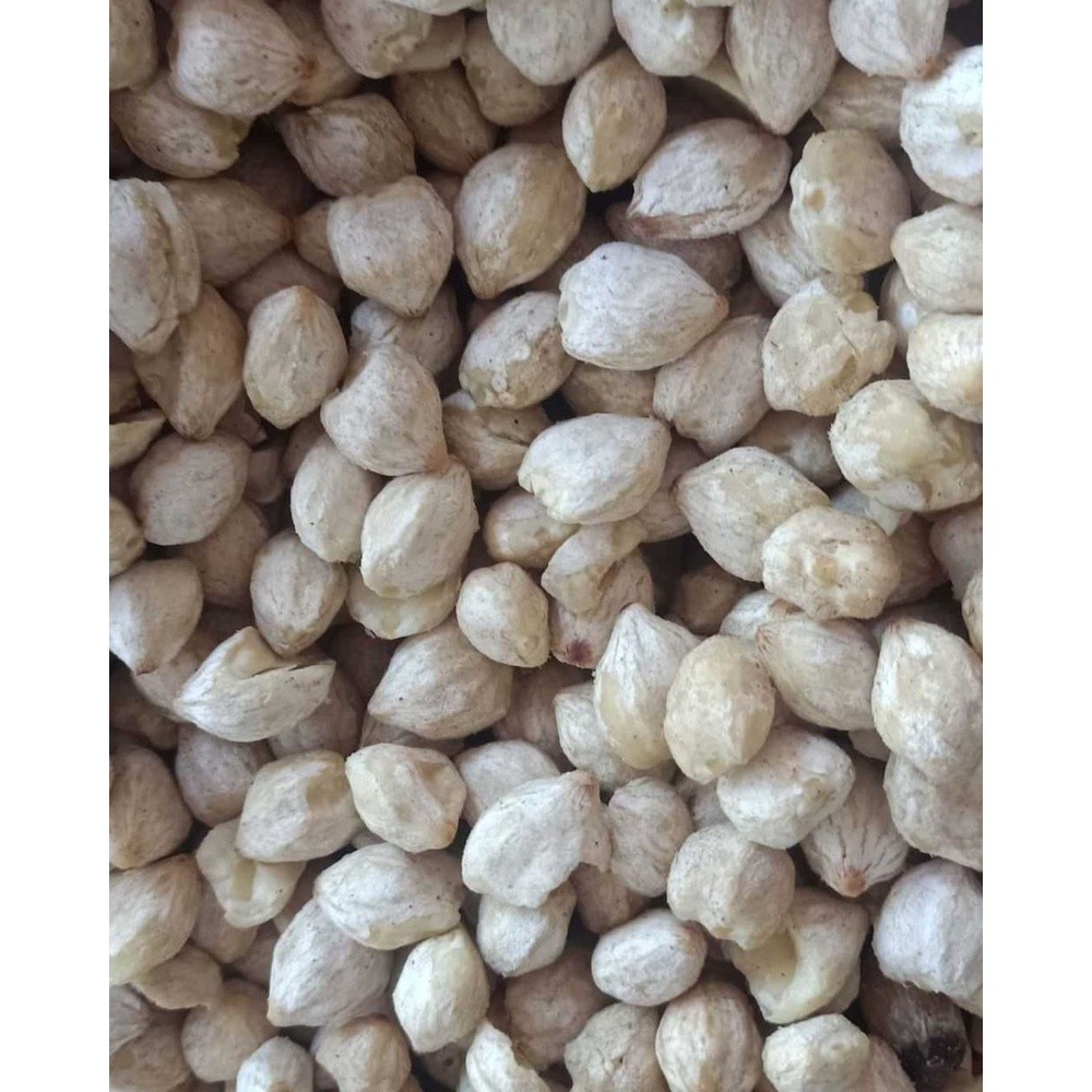 

Kemiri Bulat 1kg Kualitas Premium