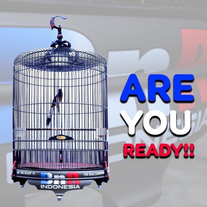 SANGKAR KANDANG MURAI BNR INDONESIA PVC BATMAN DECAL NO 2