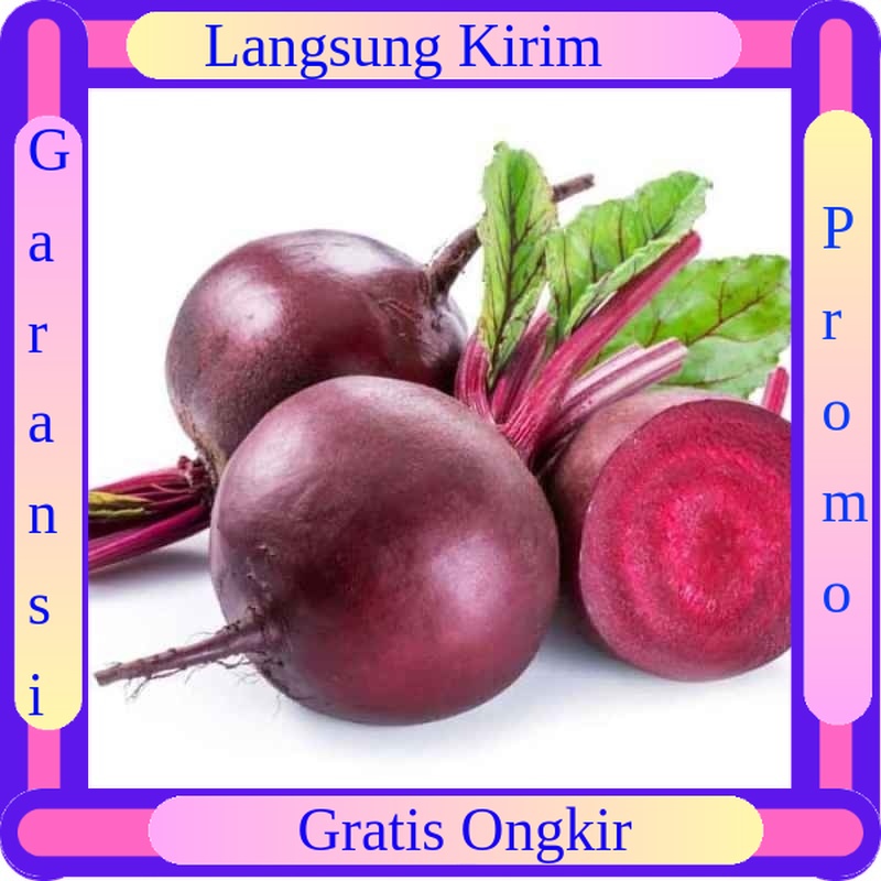

Buah Bit Beet Beat Segar Per Kg Buah Buahan Segar Fresh
