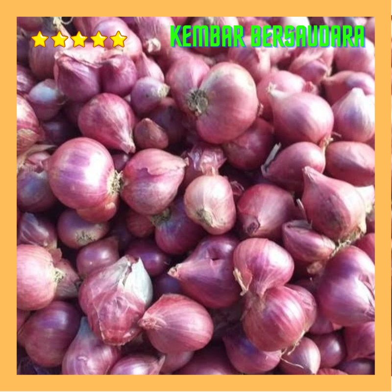 

bawang merah brebes sedang 500 gram