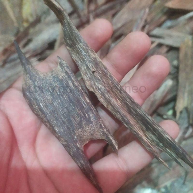 (Terbaik Termurah) Gaharu Super Kalimantan Grade Arab Gaharu Bakar Asli Original Wangi Lembut 1kg Te