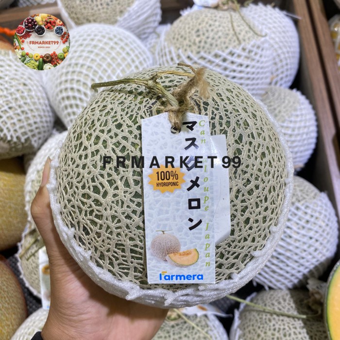 

Melon Orange Cantaloup Wakatobi Hidroponik / Melon Cantalope Manis/pcs