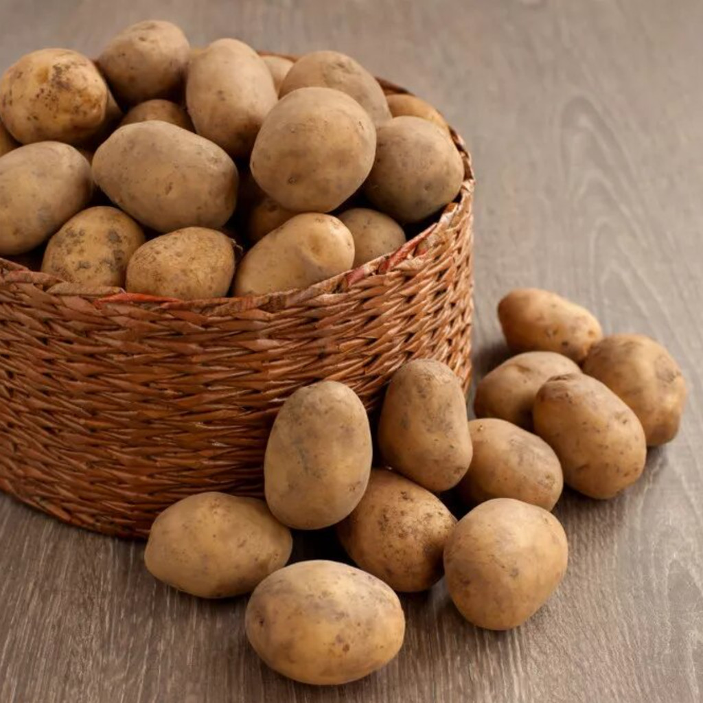 

Kentang Jumbo 500 gram. - 06