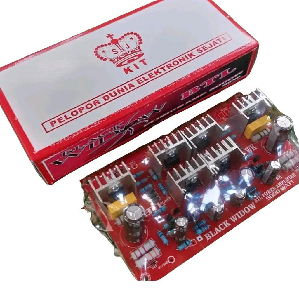 DRIVER BTL 5000watt amplifier