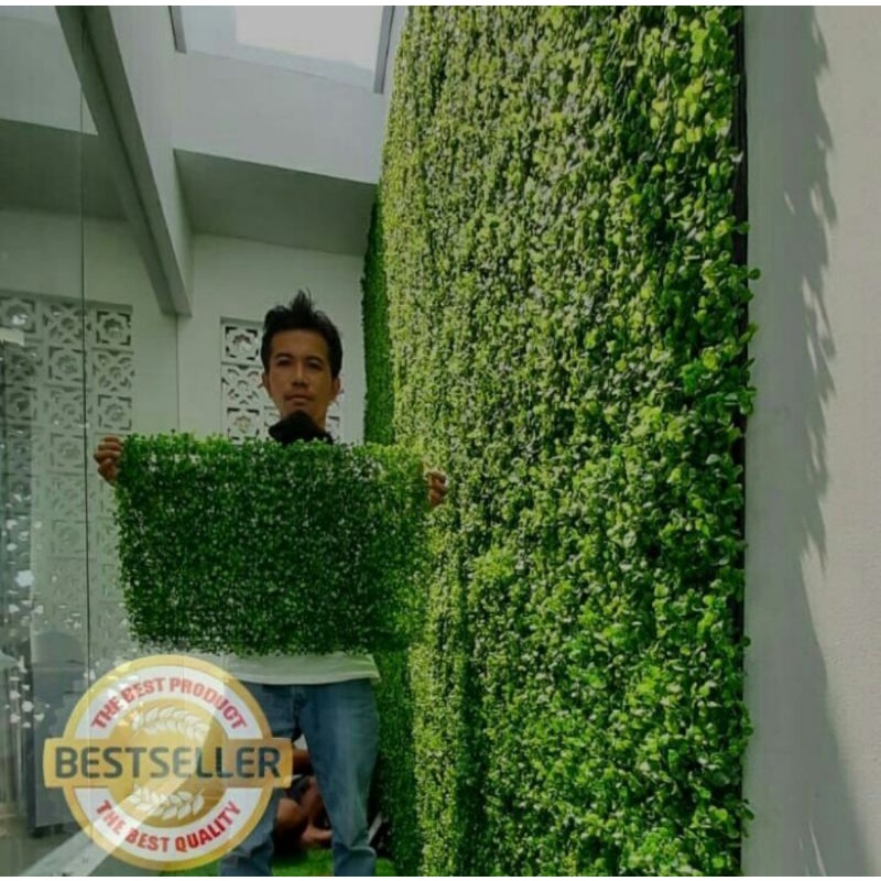 Baru Daun Rambat Sintetis 40X60 Cm - Daun Dinding Sintetis - Daun Dollar Sintetis - Daun Rambat