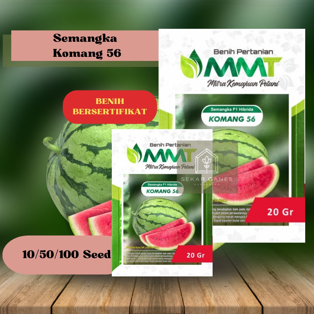 Biji Benih Semangka Komang 56 F1 Ori - Repack 10 & 50 Bibit Semangka Besar Merah Berbiji